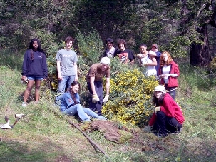 Depuis 15 années, les étudiants de Maxwell jouent un rôle clé dans le programme de maintenance du Parc Maritime de l’Ile de Portland, en aidant  au contrôle d’une plante envahissante et en  réalisant une documentation sur ce processus