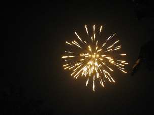 Les 1.500 personnes qui ont réussi à arriver à Calcutta, en Inde, pour la conférence qui se tenait dans cette ville, se sont vu offrir un feu d’artifice tiré le premier soir de cet événement.