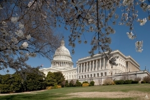 Le Capitole des USA, lieu de réunion du Congrès des États-Unis. Photo : Architecte du Capitole