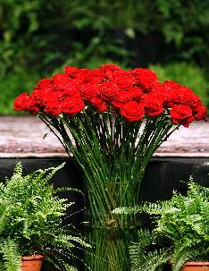 Un magnifique bouquet de roses rouges a été offert à la convention de la part des croyants bahá’ís d’Iran, qui en raison des incessantes persécutions dans leur pays ne peuvent ni se réunir, ni participer au processus électoral. Ces fleurs ont été présentes devant la scène durant toute la 10ème Convention internationale à Haïfa