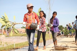 Des jeunes volontaires portant des plants de frangipanier