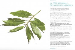 La fête nationale et la déclaration commune qui sera lue par les représentants des cultes à leurs fidèles au plus proche du 14 juillet