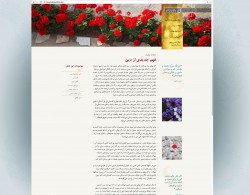 Capture d’écran de Bahaisofiran.org, le site officiel de la communauté bahá’íe en Iran, lancé le 15 février.