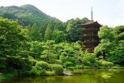 En signe d’adoration inspiré par le 200e anniversaire de la naissance de Bahá’u’lláh, la communauté bahá’íe de Yamaguchi, au Japon, a honoré le patrimoine spirituel de la ville en visitant ses sites historiques sacrés – dont certains ont plus de 1 000 ans – et, avec un sens aigu de révérence, en priant dans chacun d’eux.