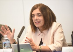Diane Ala’i, représentante du bureau de la Communauté internationale bahá’íe auprès des Nations unies à Genève, prenant la parole lors de la réunion annuelle de l’American Society of Comparative Law.