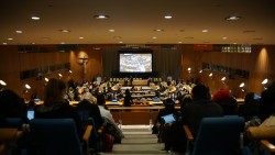 La 56e Commission du développement social des Nations unies se tient du 29 janvier au 7 février 2018.
