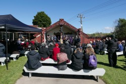 La traduction de prières bahá’íes en maori fait partie d’un vaste effort visant à faire revivre la langue des peuples autochtones de la Nouvelle-Zélande.
