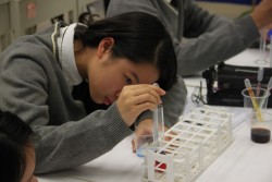 Lycéen menant une expérience scientifique.