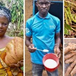 1587194842-networks-congo-thousands-informed-inspired-00