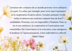 Une citation étudiée lors d’une des conférences de jeunes organisée au mois de mai en distanciel grâce aux outils numériques.