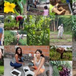 1597163538-self-sufficiency-fundaec-local-food-production-00