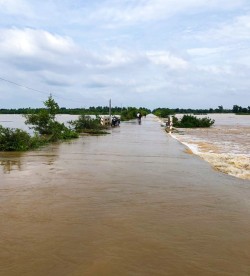 Lorsque les jeunes ont planté des arbres le long de la route, ils ne pouvaient pas prévoir qu’une section serait protégée d’une grave érosion lors des inondations qui ont eu lieu un an plus tard.