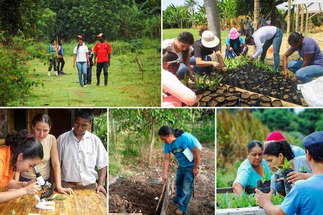 Personnes engagées dans différentes initiatives agricoles des communautés bahá’íes dans différents pays.