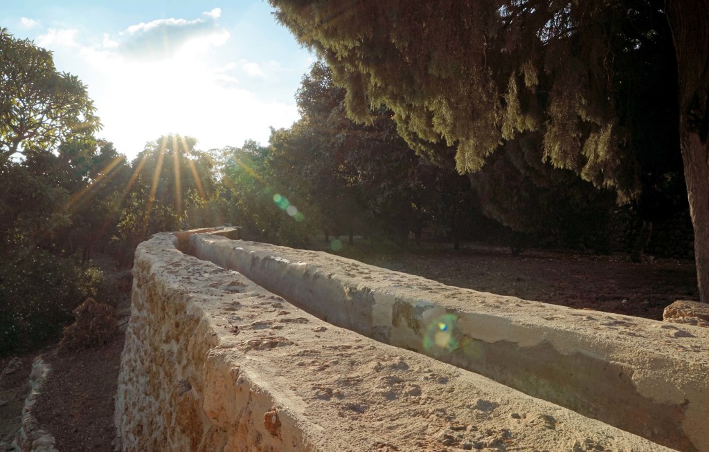 Une autre vue d’une partie de l’aqueduc restauré qui traverse Mazra’ih.