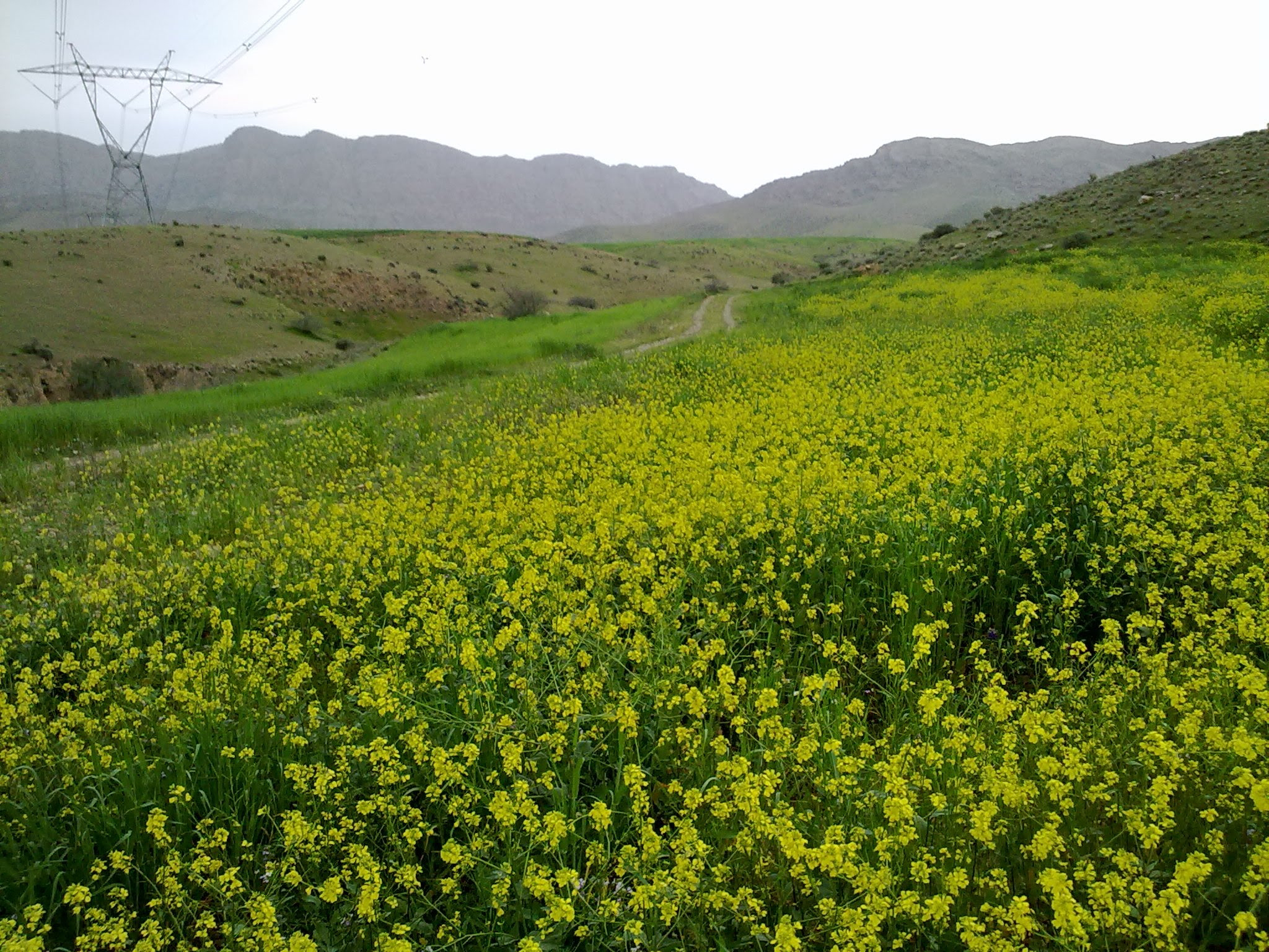 sécheresse autorités iraniennes s'emparent terres