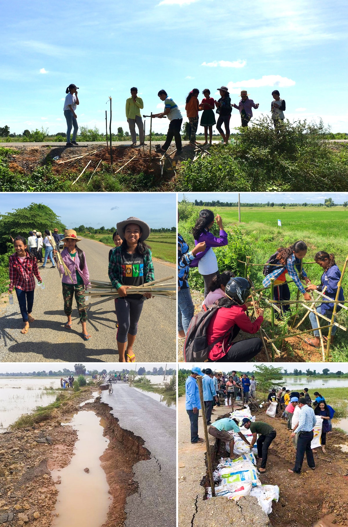 Au Cambodge, les efforts déployés par de jeunes adolescents pour améliorer la qualité de l’air et fournir un abri contre la chaleur ont eu l’avantage supplémentaire d’empêcher l’érosion d’un tronçon de route lors des inondations.