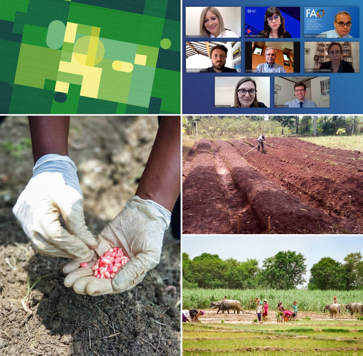 Le Bureau du BIC de Bruxelles et l’Organisation des Nations unies pour l’alimentation et l’agriculture ont lancé une série de séminaires pour examiner la relation entre l’agriculture, la durabilité rurale et la migration.