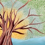 Le BIC explore l’impact disproportionné du changement climatique sur les femmes, en soulignant que le principe d’égalité des femmes et des hommes est la clé des discussions sur les questions climatiques.
