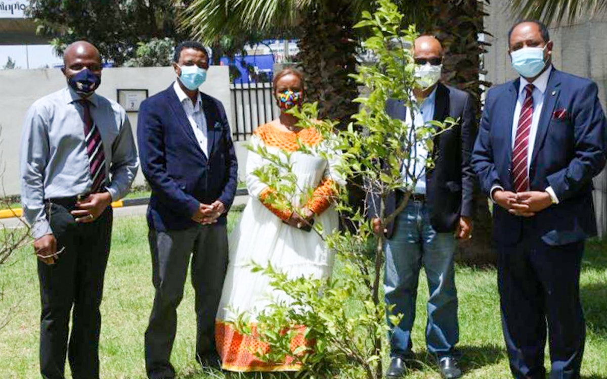 Ce forum s’inscrit dans le cadre des efforts continus du bureau du BIC d’Addis-Abeba pour contribuer au discours sur l’environnement. On voit ici Solomon Belay du bureau du BIC (deuxième à partir de la gauche) avec des représentants d’organisations religieuses et de la société civile lors d’un événement organisé par ce bureau à l’occasion de la Journée mondiale de l’environnement en juin 2021.