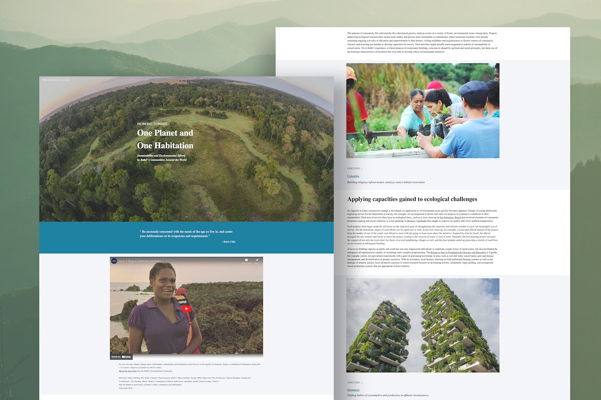 Le BIC a créé ce microsite en complément de la déclaration « One Planet, One Habitation ».