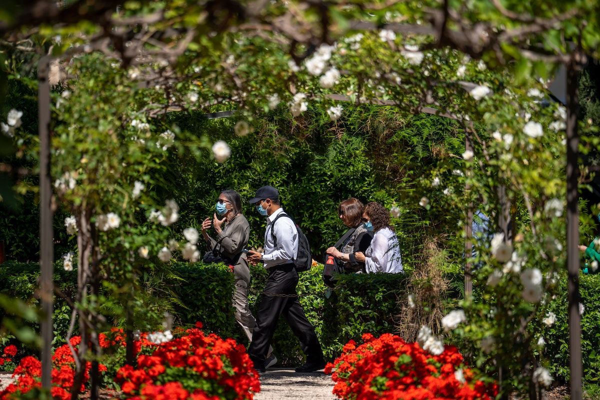 Délégués se promenant dans les jardins de la maison de ‘Abdu’l-Bahá.