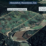 Terres agricoles, vergers et rizières appartenant aux agriculteurs baha’is d’Ahmadabad (province du Mazandéran) saisies par les autorités iraniennes.