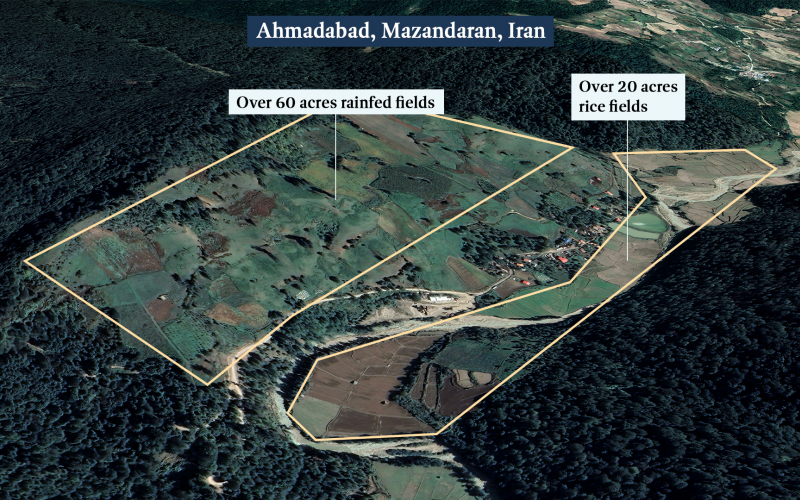 Terres agricoles, vergers et rizières appartenant aux agriculteurs baha’is d’Ahmadabad (province du Mazandéran) saisies par les autorités iraniennes.