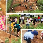 Des jeunes engagés dans des activités bahá’íes de construction de communautés sont à la tête d’un projet de jardin communautaire, renforçant ainsi les liens communautaires et améliorant l’environnement local.